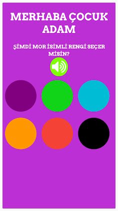 RenkBulma - Screenshot 2