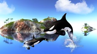 The Killer Whale - Screenshot 1