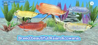 My Asian arowana Aquarium - Screenshot 1