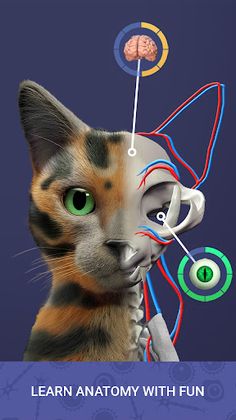 Idle Pet - Create cell by cell - Screenshot 2