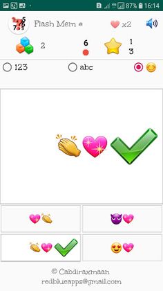 Flash mem # - Screenshot 2