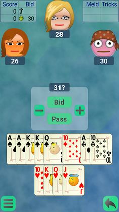 Pinochle - Screenshot 2