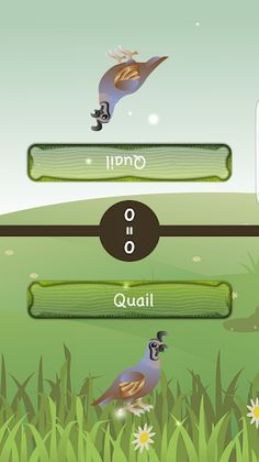 Chidiya Udd Online - Screenshot 4