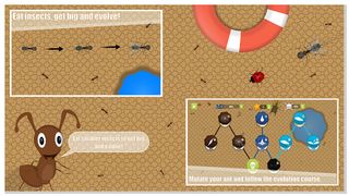 Ant Evolution Forever : Squash - Screenshot 1