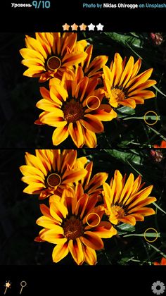 Find 5 Differences - Flowers - Screenshot 2