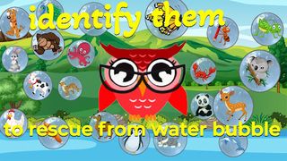 The Owl Universe - Screenshot 1