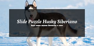 Slide Puzzles Siberian Husky - Screenshot 1
