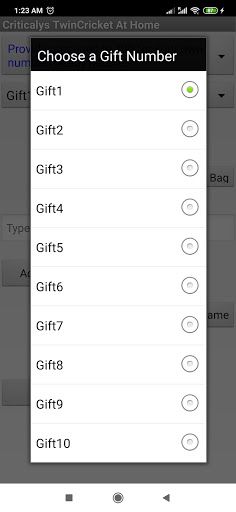 Twin Cricket Fun N Learning - Screenshot 4