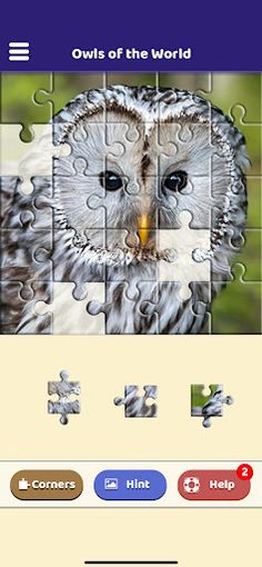 Owls of the World Puzzle - Screenshot 3
