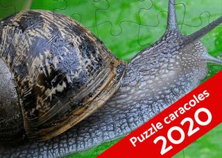 Puzzle Caracoles 🧩🐌 - Screenshot 2