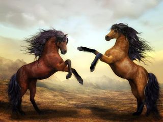Horses jigsaw puzzles games - Screenshot 3