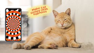 Laser for cat. Cat games. Joke - Screenshot 3