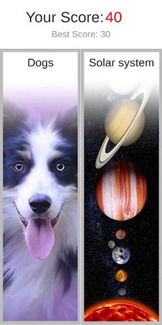 Picture Quiz - Screenshot 1