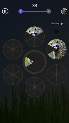 Slices: Matching Animals - Screenshot 2