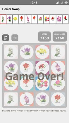 Flower Swap - Screenshot 3