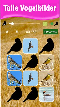 Bird Pairs - Paare Suchen - Screenshot 1