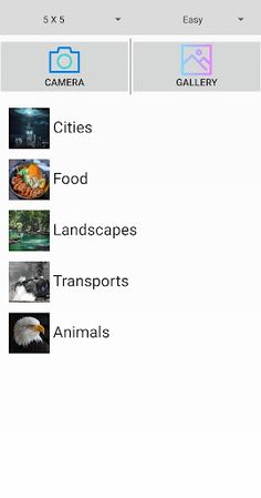 Picture Puzzle - Screenshot 3