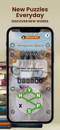 Anagram Quest - Screenshot 1