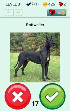 QUIZ True or False - Screenshot 2