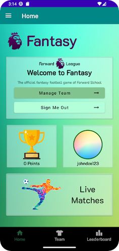 FS Football Fantasy - Screenshot 1