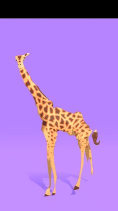 Human To Animal - Screenshot 3