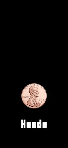 Coin Toss - Screenshot 3