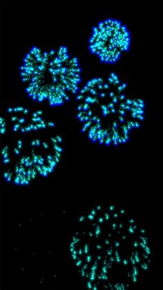 Blue Fireworks - Screenshot 1