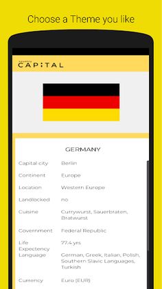 Capital city Government Flag F - Screenshot 4