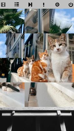 Tile Picture Puzzle - Screenshot 1