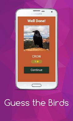 Birds guess - Screenshot 2