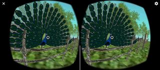 VR Hewan Endemik - Screenshot 1