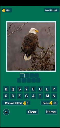 Animal Trivia 2 - Screenshot 1