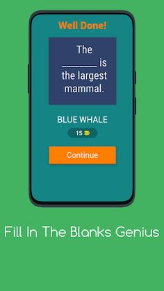 FILL IN THE BLANKS GENIUS - Screenshot 2
