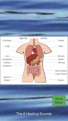 Yi Jin Jing - Screenshot 3