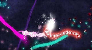 Zapper.io - Screenshot 3