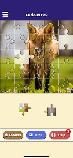 Curious Fox Puzzle - Screenshot 3