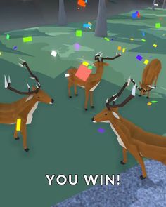 Animal Chase - Screenshot 2