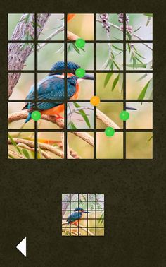 Compa - Screenshot 4