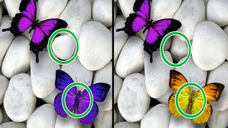 Игра найди отличия в картинках - Screenshot 1