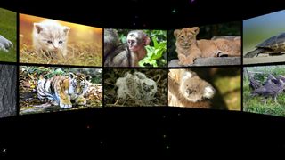 Baby Animal Sounds for Parents - Screenshot 1