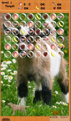 Pet Bubble - Screenshot 2