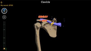 Anatomy Ninja Upper Limb - Screenshot 2