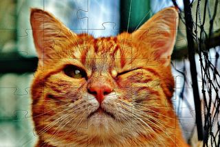 Funny cats jigsaw puzzles - Screenshot 2