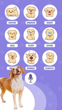 Dog Translator - Talking Dog - Screenshot 4