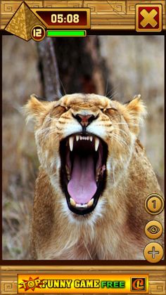 Puzzle Of Animals - Screenshot 4