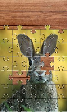 Rabbits Jigsaw Puzzles Games - Screenshot 3