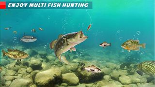Hooked Clash: Hungry Fish.io - Screenshot 3