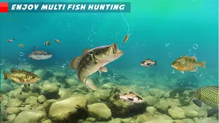 Hooked Clash: Hungry Fish.io - Screenshot 3