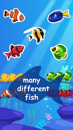 Fish Sorting - Color Puzzle - Screenshot 4