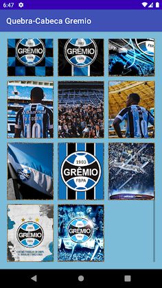 Gremio Jigsaw Puzzles - Screenshot 3